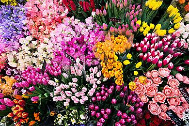 国外玩家痛批《羊蹄山之魂》 玩家想要更正常的美女女主